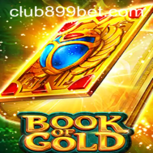 Exploring the Thrills of BookofGold